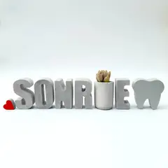 CONKRETE - Set de letras decorativas SONRÍE mayúsculas + Planta Suculenta