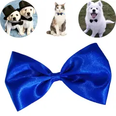 GENERICO - CORBATA MICHI GRANDE AZULINO