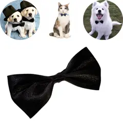 GENERICO - CORBATA MICHI CHICO-M NEGRO