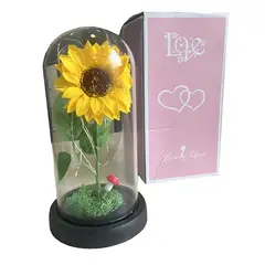 GENERICO - Girasol Eterno cúpula de vidrio regalo luz led
