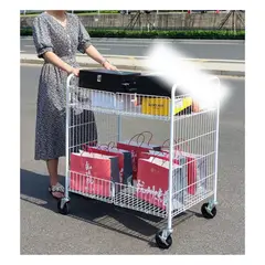 GENERICO - Carrito plegable extraíble para puesto