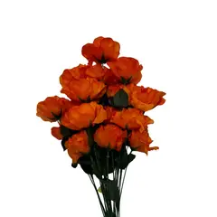 FLORIPA - Bouquet De Rosas 24 Flores BG302402-NAR FLORIPASTORE