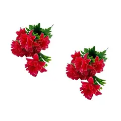 FLORIPA - Set de 2 Bouquets De Margarita Con Follaje BG308005-ROS2 FLORIPASTORE