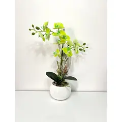 GENERICO - ORQUIDEA VERDE BASE BLANCA 40X12