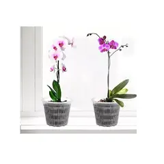 OTTOWARE - Set de 3 Macetas para Orquídeas de 7.5 cm de Ancho