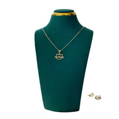 GENERICO - Pack Acero Collar con dije y Aretes - Bigotes Gato Dorado