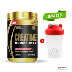 LEVEL PRO - CREATINE CREATINA MICRONIZADA 500 GR IMPORTADA
