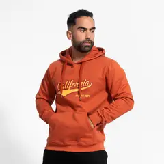 GENERICO - Polera afranelado CALIFORNIA Bricks Arcoi