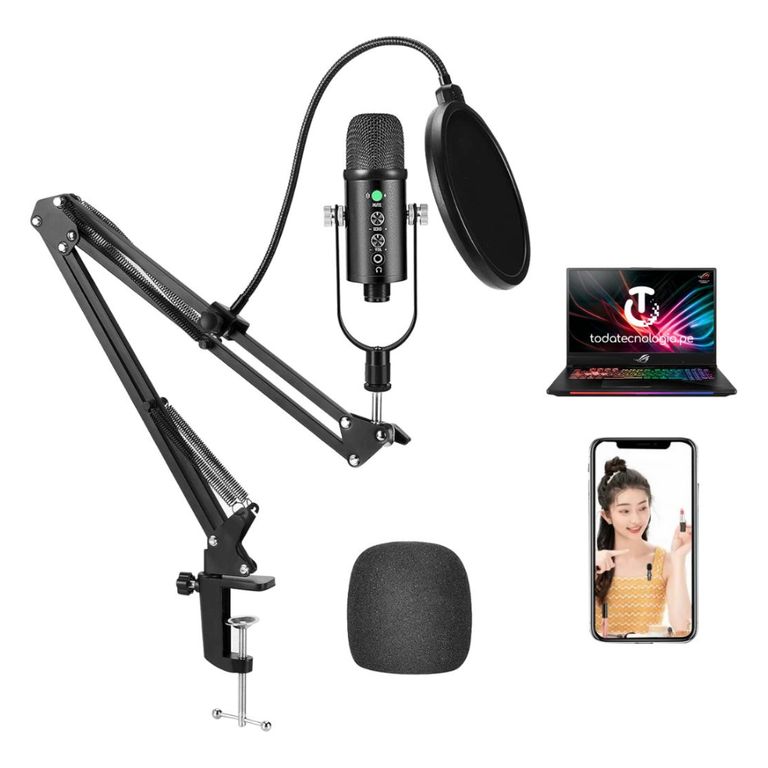 Microfono Profesional Condensador Grabación Laptop Celulares BM-86TZ