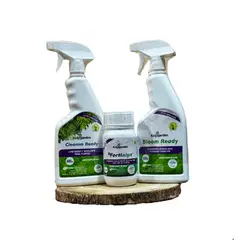 GREEN SUPPLY - Pack Orquídeas y Anturios - Pet Friendly