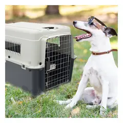 GENERICO - Contenedor Resistente de Perro L120 Plomo Oscuro Y+Stickers