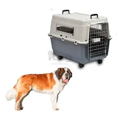 GENERICO - Portadora de Perro L120 en Plomo Oscuro Y+Post-it adhesivos