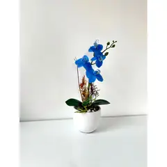 IMPORTADO MC - ORQUIDEA AZUL BASE BLANCA 33X11