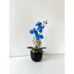 IMPORTADO MC - ORQUIDEA AZUL BASE NEGRA 33X11