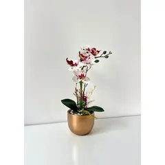 GENERICO - ORQUIDEA BLANCA CON VINO BASE DORADA 33X11
