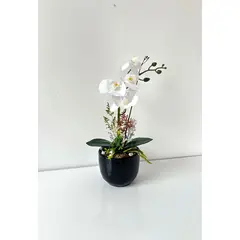 IMPORTADO MC - ORQUIDEA BLANCA BASE NEGRA 33X11
