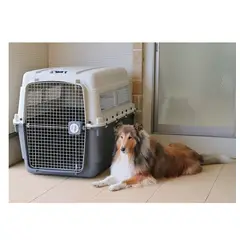 GENERICO - Kennel Aereo L120 Fibra Canil Macotas Grandes XXL