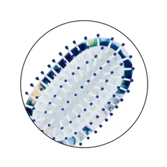 CONAIR - CEPILLO IMPRESSION MS CUSHION 87714