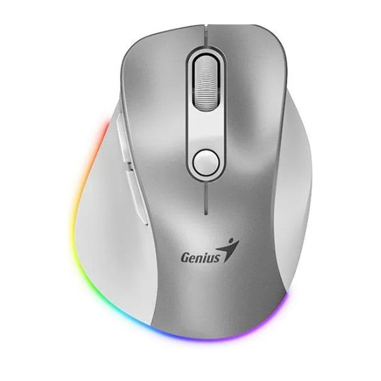 Mouse Ergo 9000s Pro Dual Recargable InalámbricoBt Plata