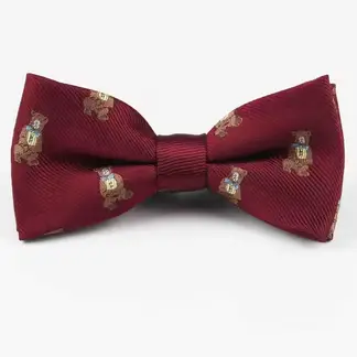 KAST PE - Corbata Elegante Michi Teddy de Niño - Burgundy