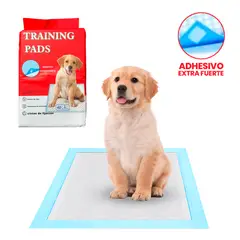 Pet In Care - Pañales de Piso con Adhesivo -Talla L para Mascotas