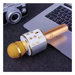 RYBIU IMPORT - Microfono Inalambrico en Color Dorado Y+Papel de Regalo