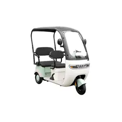 GENERICO - TRIMOTO ELECTRICA P9 MAX EBIKER