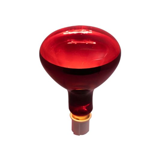 Foco Infrarrojo para Terapia OP-TER12250