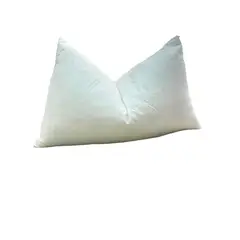 GENERICO - Relleno Plumas de Ganso 50x30 cm