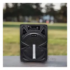RYBIU IMPORT - Parlante Compacto Micronics Killer Mic en Negro