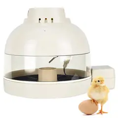 GENERICO - INCUBADORA DE 10 HUEVOS AUTOMÁTICA JANOEL