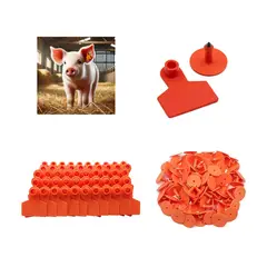 GENERICO - Pack de 100 Arete Para Cerdo Naranja 4x5 Cm Sin Número