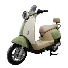 SHEEPBUSTER - Moto Eléctrica City2 1500W 60V 20AH Litio Extraible Verde