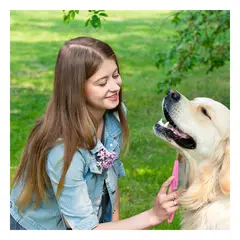 RYBIU IMPORT - Peine Antipulgas y Duradero Color Rosado Y+Regalo Stickers