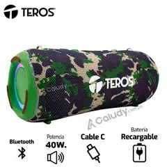 TEROS - Parlante TE-6046G Verde Militar Camuflado 40 WATTS Bluetooth