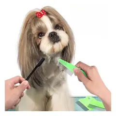 RYBIU IMPORT - Peine Portatil de Mascotas de Color Verde Y+Regalo Stickers