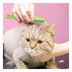 RYBIU IMPORT - Peine Fino Saca Pulgas para Mascota de Color Verde