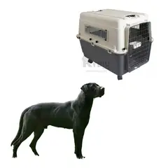 RYBIU IMPORT - Contenedor Seguro L90 en Plomo Oscuro Y+Envoltorio de Regalo