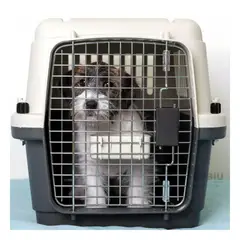 RYBIU IMPORT - Transportador Rigido L50 en Plomo Oscuro Y+Papel de Regalo