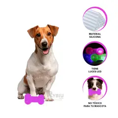 GENERICO - Articulo Bonito en Color Verde Y+Regalo Ligas para Peinar