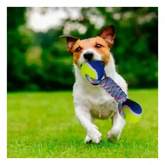 GENERICO - Juguete Portatil Pet en Tono Amarillo Y+Papel de Regalo