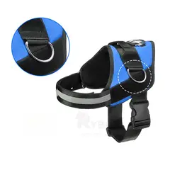 GENERICO - Correa de Asa Talla XL en Azul Y+Envoltorio de Regalo