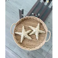 MAP DESIGN HOME - Adorno Playa Juego de Estrellas de Mar X2 19x19x03 cm