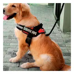 GENERICO - Pechera Moderna de Color Rojo XL Y+Regalo Stickers