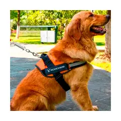 GENERICO - Pechera de Paseo Pet en Anaranjado XXL Y+Papel de Regalo