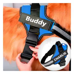 RYBIU IMPORT - Pechera Confortante de Color Azul XXL Y+Papel de Regalo