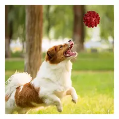 RYBIU IMPORT - Pelota para Mascotas Flexible Rojo Y+Gift Stickers