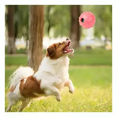 GENERICO - Juguete Duradero para Morder Rosado Y+Regalo Agendita