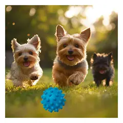 GENERICO - Pelota Masticable Dog en Celeste Y+Envoltorio de Regalo