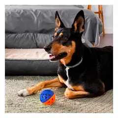 RYBIU IMPORT - Juguete Plastico en Azul y Naranja Y+Regalo Stickers